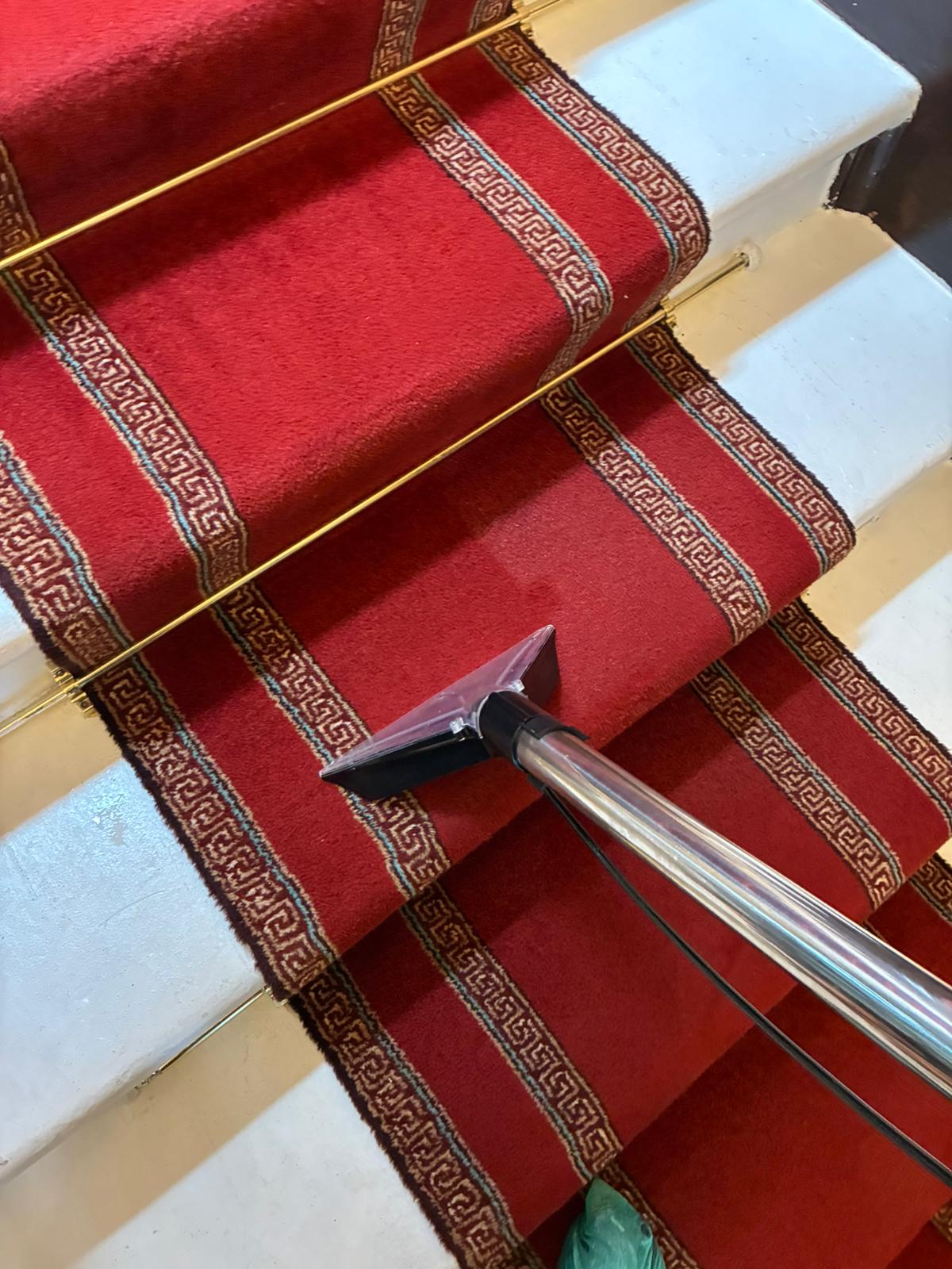 MERIT treating a detailed red stair runner